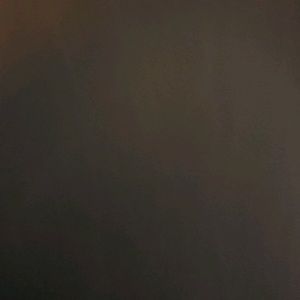 Meet your Posher, Rodney